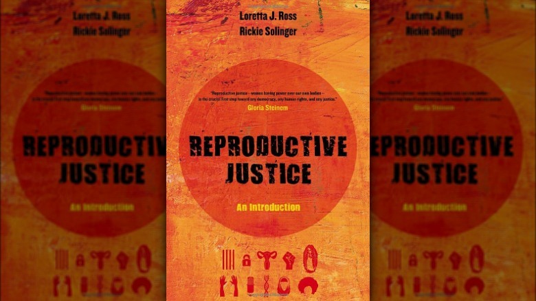 Reproductive Justice: An Introduction book cover