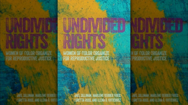 Undivided Rights: Women of Color Organizing for Reproductive Justice book cover