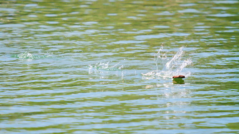 A stone skipping across the water