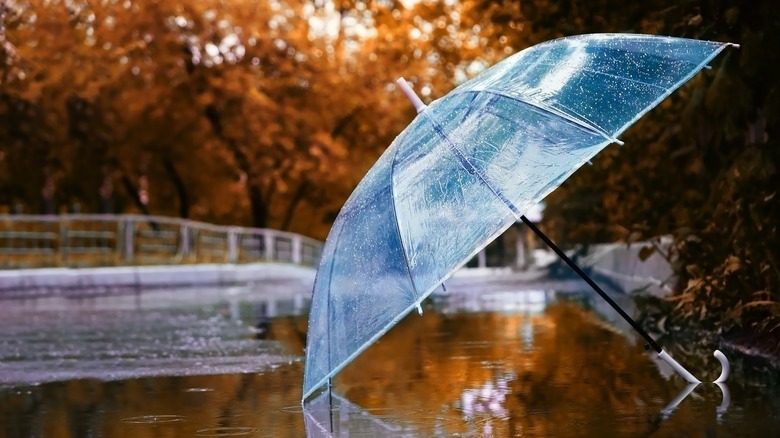 An umbrella on the ground