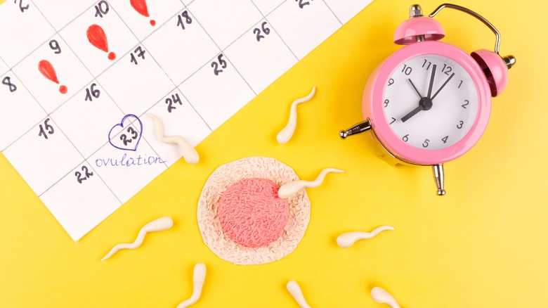 Calendar marking ovulation date