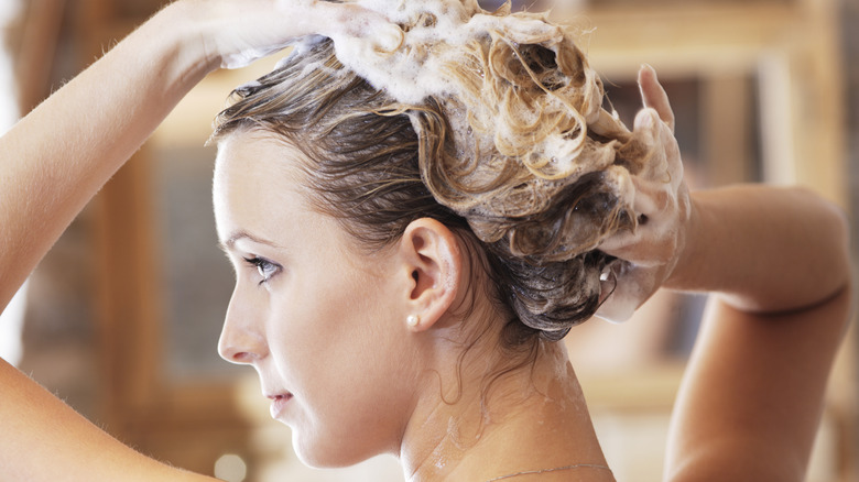 Back view of a woman washing her hair