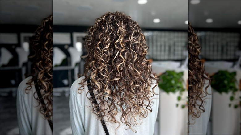 Curly highlighted hair