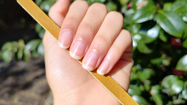 A closeup of a woman's nails