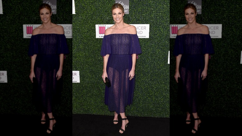 Erin Andrews posing in a sheer, blue dress at a charity event