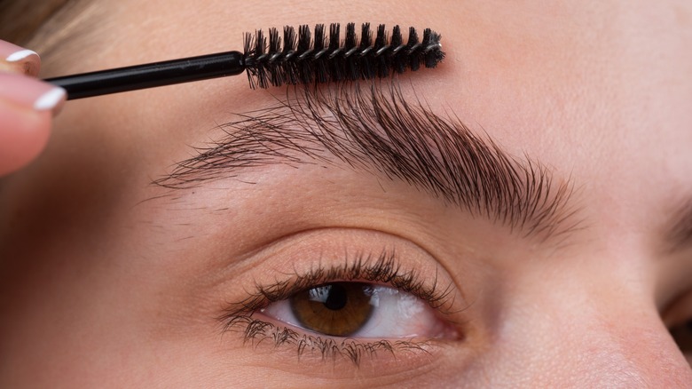 Woman brushing eyebrows