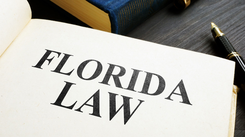 Florida bill mockup
