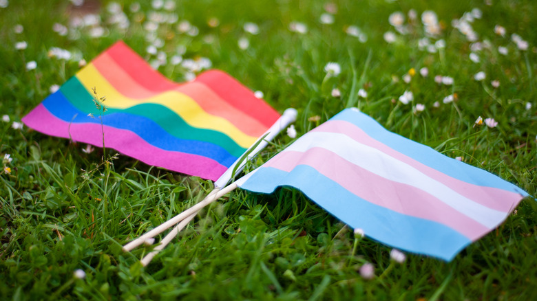 LGBTQ+ and transgender flag