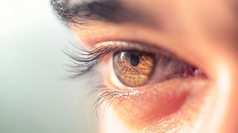 close-up of brown eye