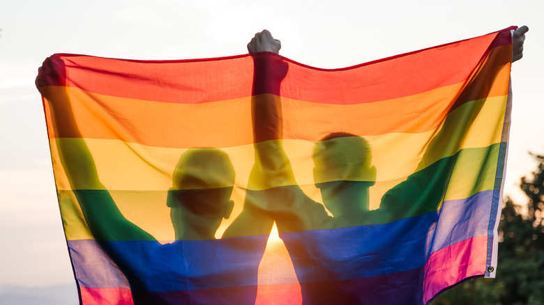two people holding pride flags