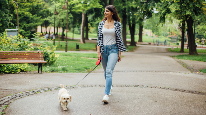 Woman walks dog in park