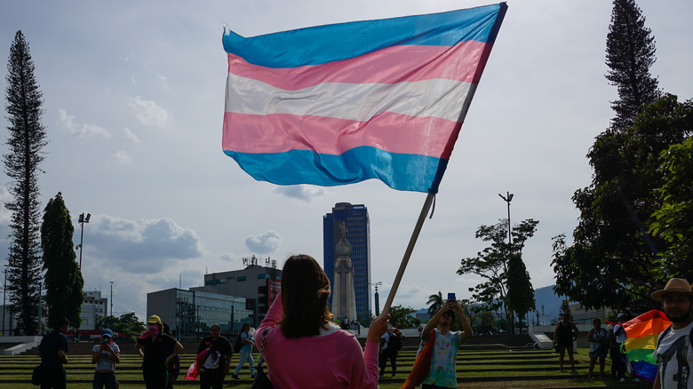 Trans rights flag 