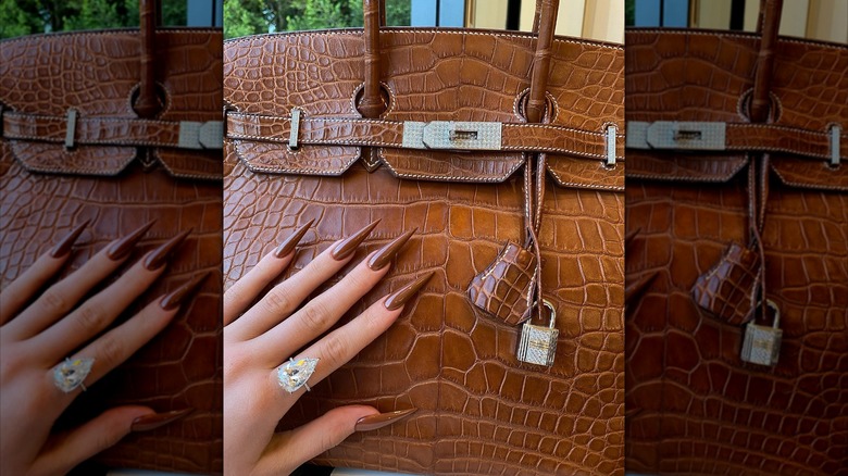 A hand with pointy, brown-colored nails against a snakeskin purse