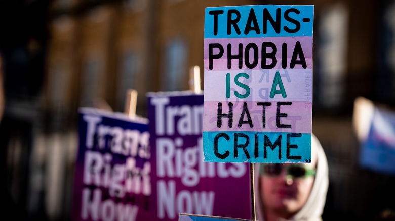 A trans rally with signs