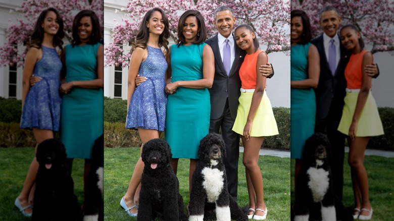 Obama family portrait 2015