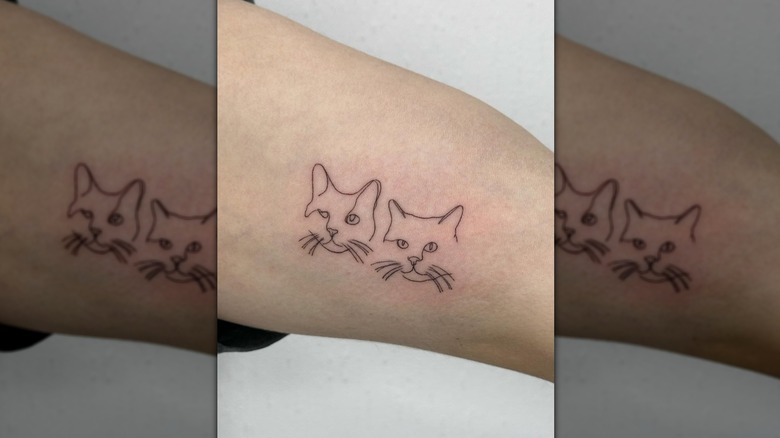 Cat faces line tattoos