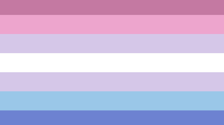 Flag features seven colored stripes pink, purple, blue with a white stripe in the middle