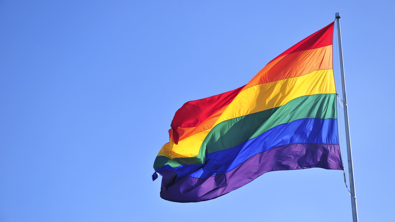rainbow LGBTQ+ pride flag