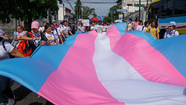 People carry transgender flag