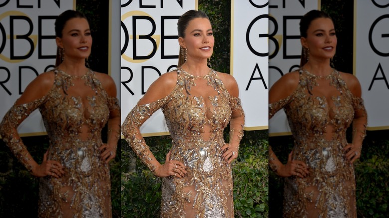 Sofia Vergara in a gold dress on the red carpet