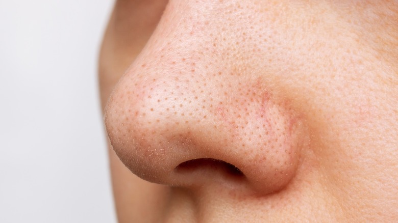 A closeup shot of a nose
