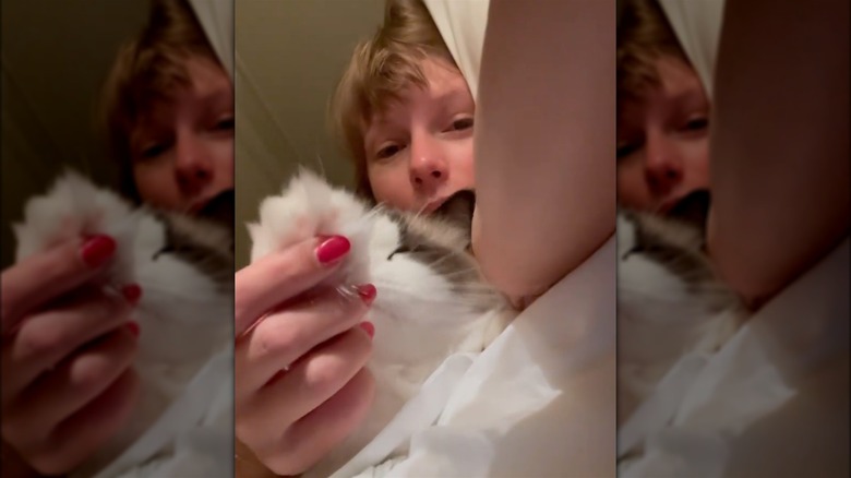 Taylor Swift playing with her cat