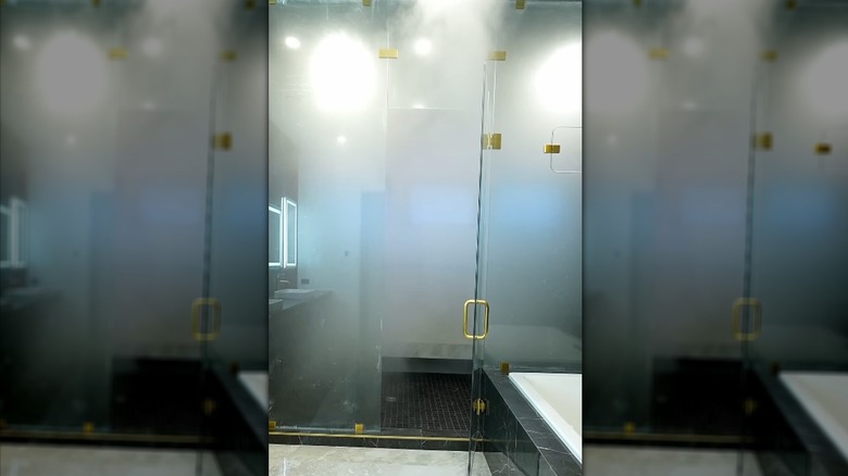 Empty steam shower