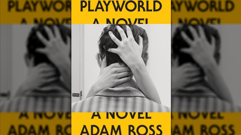 Playworld by Adam Ross book cover