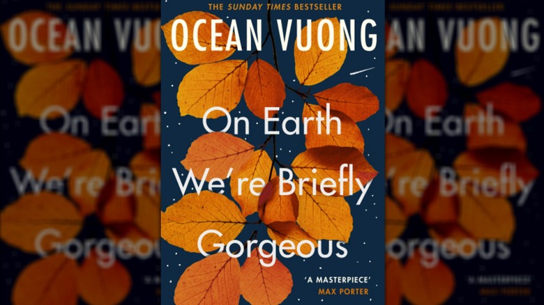 On Earth We're Briefly Gorgeous by Ocean Vuong cover