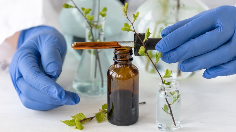 Close-up of plant-based serum being developed