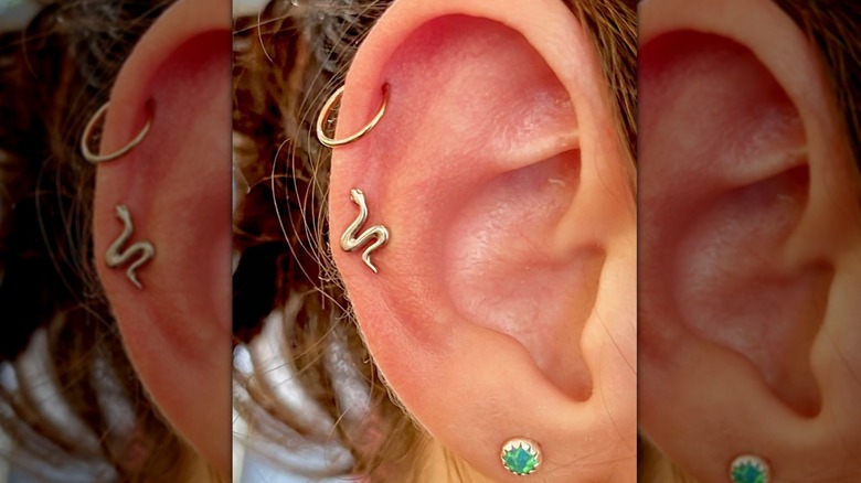 auricle snake piercing